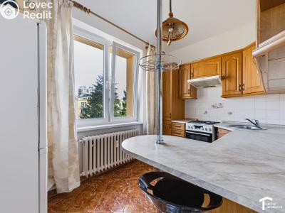 Rent apartment 2+1 Pardubice, Pichlova 2565 č. 6