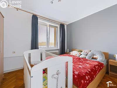 Rent apartment 2+1 Pardubice, Pichlova 2565 č. 7