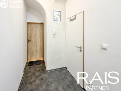 Pronájem bytu 1+KK Brno, Bašty č. 7
