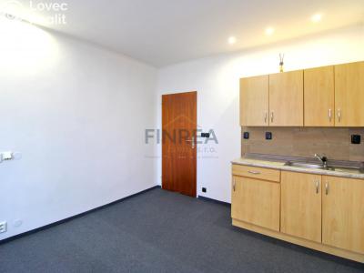 Rent apartment 1+KK Chomutov, Partyzánská č. 5