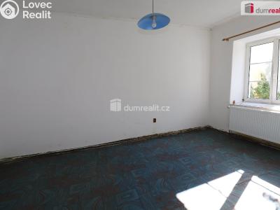 Pronájem bytu 1+1 Planá, náměstí Svobody č. 10