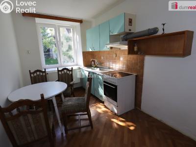 Pronájem bytu 1+1 Planá, náměstí Svobody č. 11