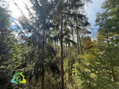 Sale hut Malá Hraštice č. 19
