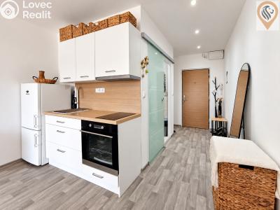 Sale apartment 1+KK Hradec Králové, Jana Masaryka č. 2