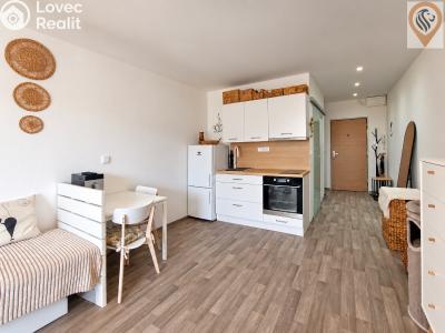 Sale apartment 1+KK Hradec Králové, Jana Masaryka č. 7
