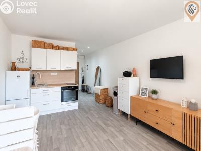 Sale apartment 1+KK Hradec Králové, Jana Masaryka č. 8