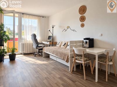 Sale apartment 1+KK Hradec Králové, Jana Masaryka č. 9