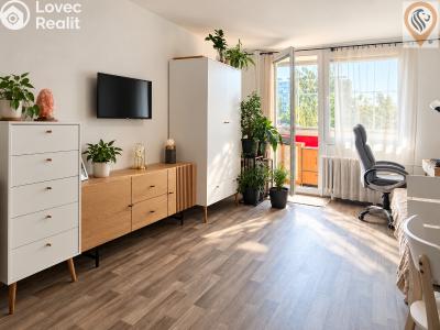 Sale apartment 1+KK Hradec Králové, Jana Masaryka č. 10