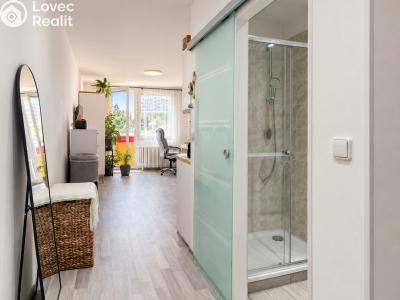 Sale apartment 1+KK Hradec Králové, Jana Masaryka č. 12
