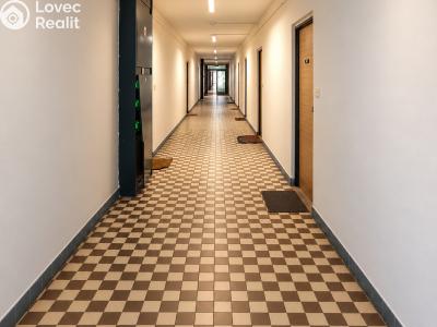 Sale apartment 1+KK Hradec Králové, Jana Masaryka č. 18