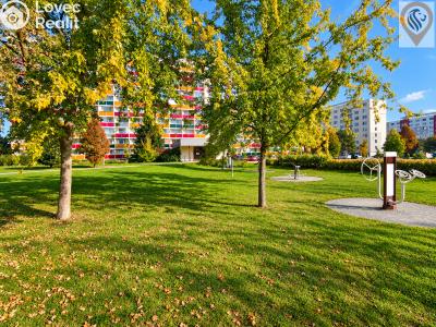 Sale apartment 1+KK Hradec Králové, Jana Masaryka č. 20