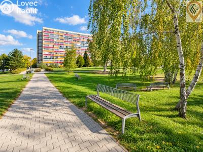 Sale apartment 1+KK Hradec Králové, Jana Masaryka č. 22