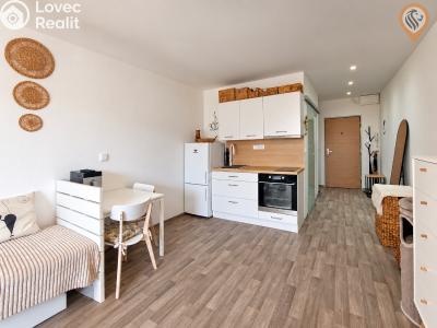 Sale apartment 1+KK Hradec Králové, Jana Masaryka č. 7