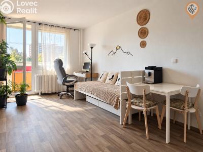 Sale apartment 1+KK Hradec Králové, Jana Masaryka č. 9