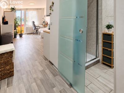 Sale apartment 1+KK Hradec Králové, Jana Masaryka č. 11