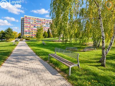 Sale apartment 1+KK Hradec Králové, Jana Masaryka č. 22