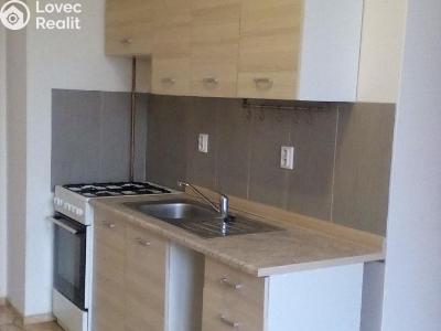 Rent apartment 1+1 Prostějov č. 1