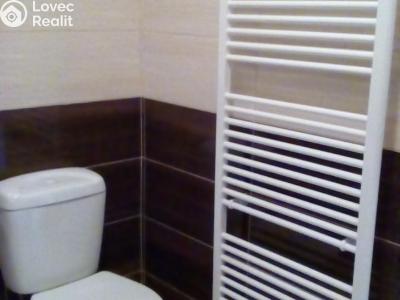 Rent apartment 1+1 Prostějov č. 5