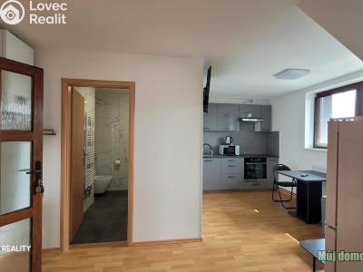 Rent apartment 3+KK Praha, Odboje č. 25