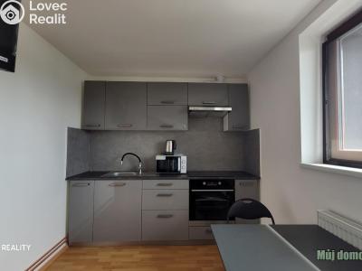 Rent apartment 3+KK Praha, Odboje č. 1