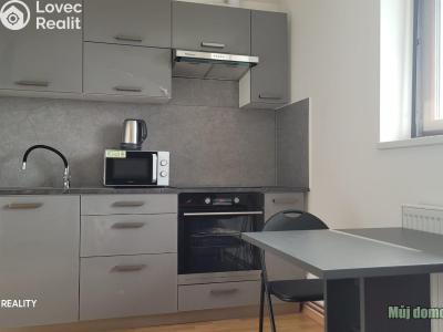 Rent apartment 3+KK Praha, Odboje č. 3