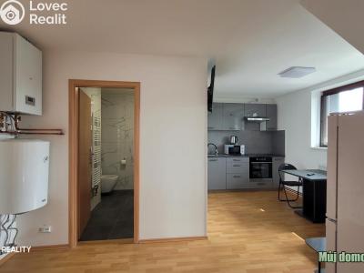 Rent apartment 3+KK Praha, Odboje č. 6