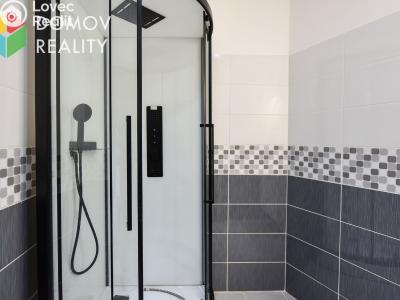 Rent apartment 3+KK Beroun, Švermova č. 8