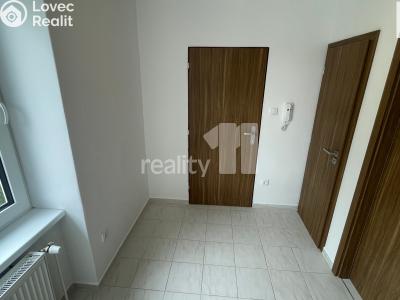 Rent apartment 3+1 Jiřice č. 5