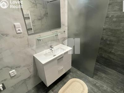 Rent apartment 3+1 Jiřice č. 8