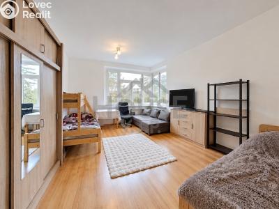 Sale apartment 2+KK Poděbrady, Československé armády č. 19