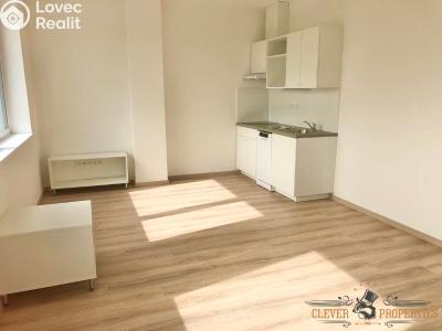 Rent apartment 1+KK Poděbrady, Za Nádražím č. 1