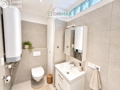 Rent apartment 2+1 Plzeň, Pod Záhorskem č. 8