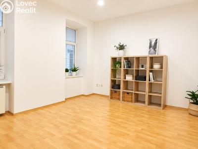 Оренда квартири 1+1 Brno, Lidická č. 2