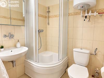 Оренда квартири 1+1 Brno, Lidická č. 4