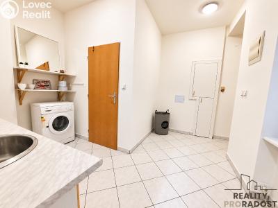 Оренда квартири 1+1 Brno, Lidická č. 9