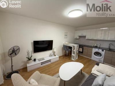 Rent apartment 2+KK Most, Bělehradská č. 21