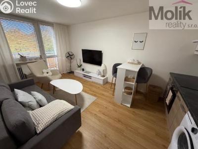 Rent apartment 2+KK Most, Bělehradská č. 1
