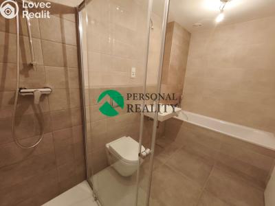 Rent apartment 5+KK Liberec, Na Perštýně č. 23