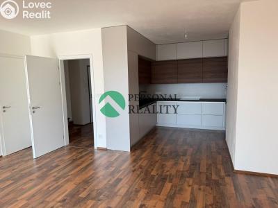 Rent apartment 5+KK Liberec, Na Perštýně č. 29