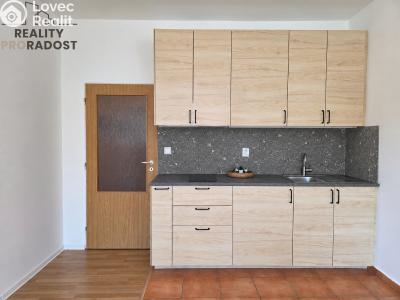 Продажа квартиры 1+KK Brno, Božetěchova č. 1