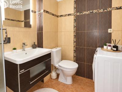 Продажа квартиры 1+KK Brno, Božetěchova č. 3