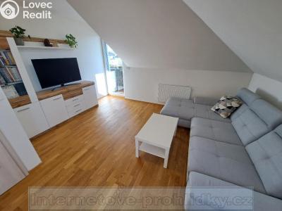 Pronájem bytu 3+KK Praha č. 3