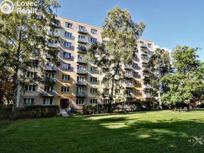 Rent apartment 1+1 Kladno, Finská 2250 č. 13
