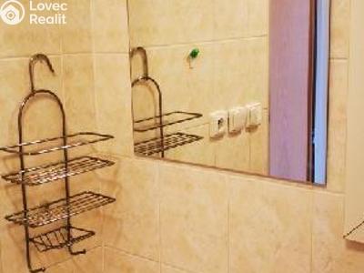 Sale apartment 1+KK Zlín, Podlesí V 5411 č. 6