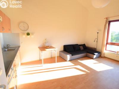Rent apartment 2+KK Beroun, Palouček č. 8