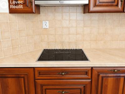 Rent apartment 2+1 Karlovy Vary, U Imperiálu č. 7