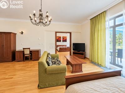 Rent apartment 2+1 Karlovy Vary, U Imperiálu č. 14