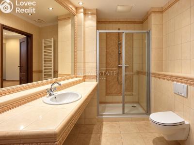 Rent apartment 2+1 Karlovy Vary, U Imperiálu č. 16