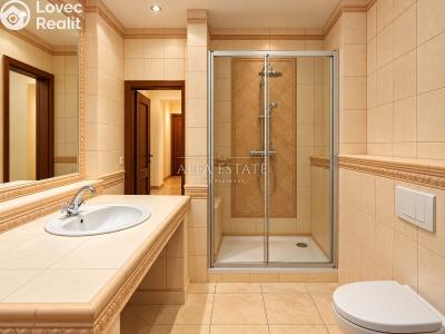 Rent apartment 2+1 Karlovy Vary, U Imperiálu č. 17