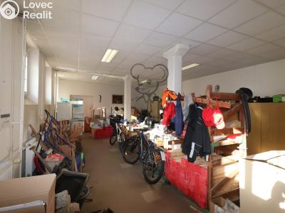 Rent warehouse České Budějovice, Hradební 351 č. 3